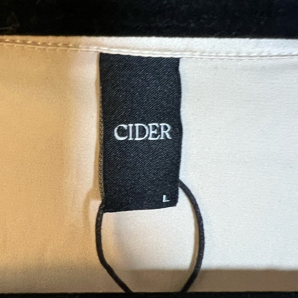 Cider L Champagne Satin Split Neck Collared Long Sleeve Gathered Side Dress - Picture 3 of 4